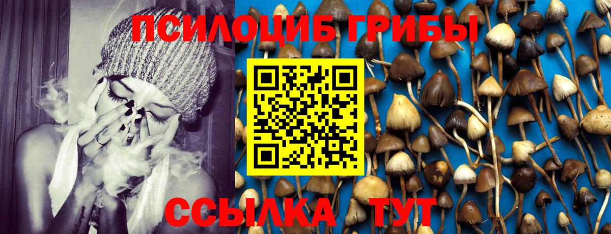 Псилоцибиновые грибы Magic Shrooms  Вход с VPN  Томск 